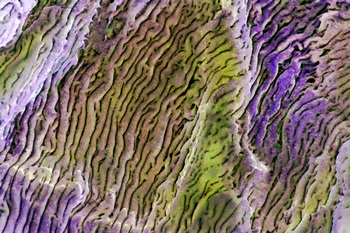 A 79D